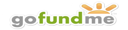 Image result for go fund me